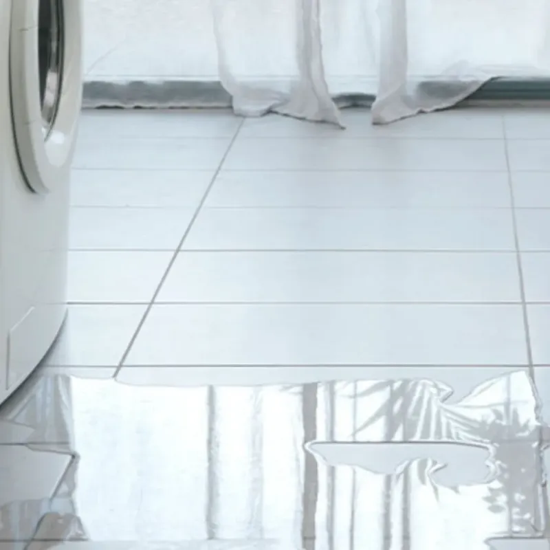 Appliance Leak Cleanup in Portland, NY