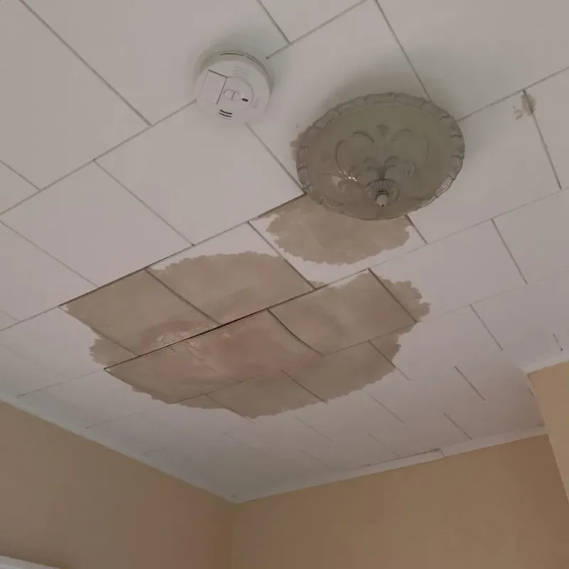 Ceiling Water Damage Repair in Portland, NY