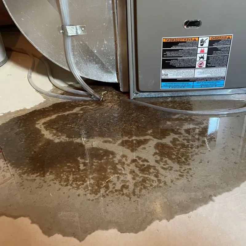 Pipe Burst and Leak Restoration in Portland, NY